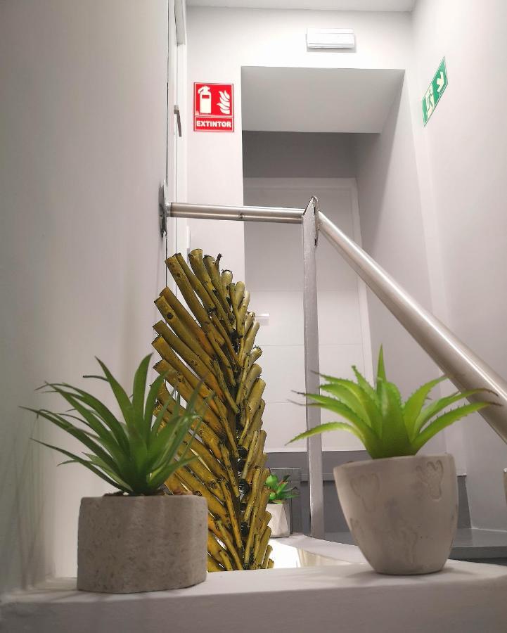 Eres Emerita "Apartamentos & Suites" เมรีดา ภายนอก รูปภาพ